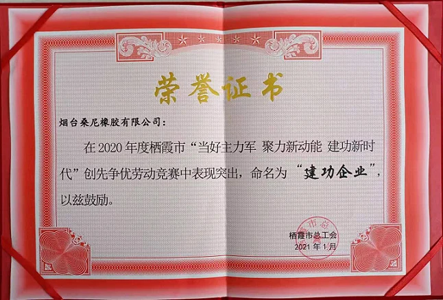 Yantai Sunny Rubber Co., Ltd., Kalendarski tim itd. Osvojili su počasne titul...