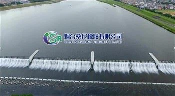 Sustav štitaste brane sa zračnim mjehurom